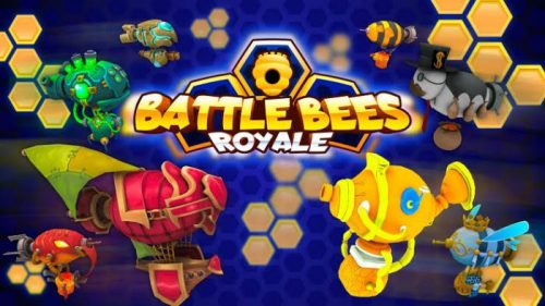 Battle Royale Games for Computer