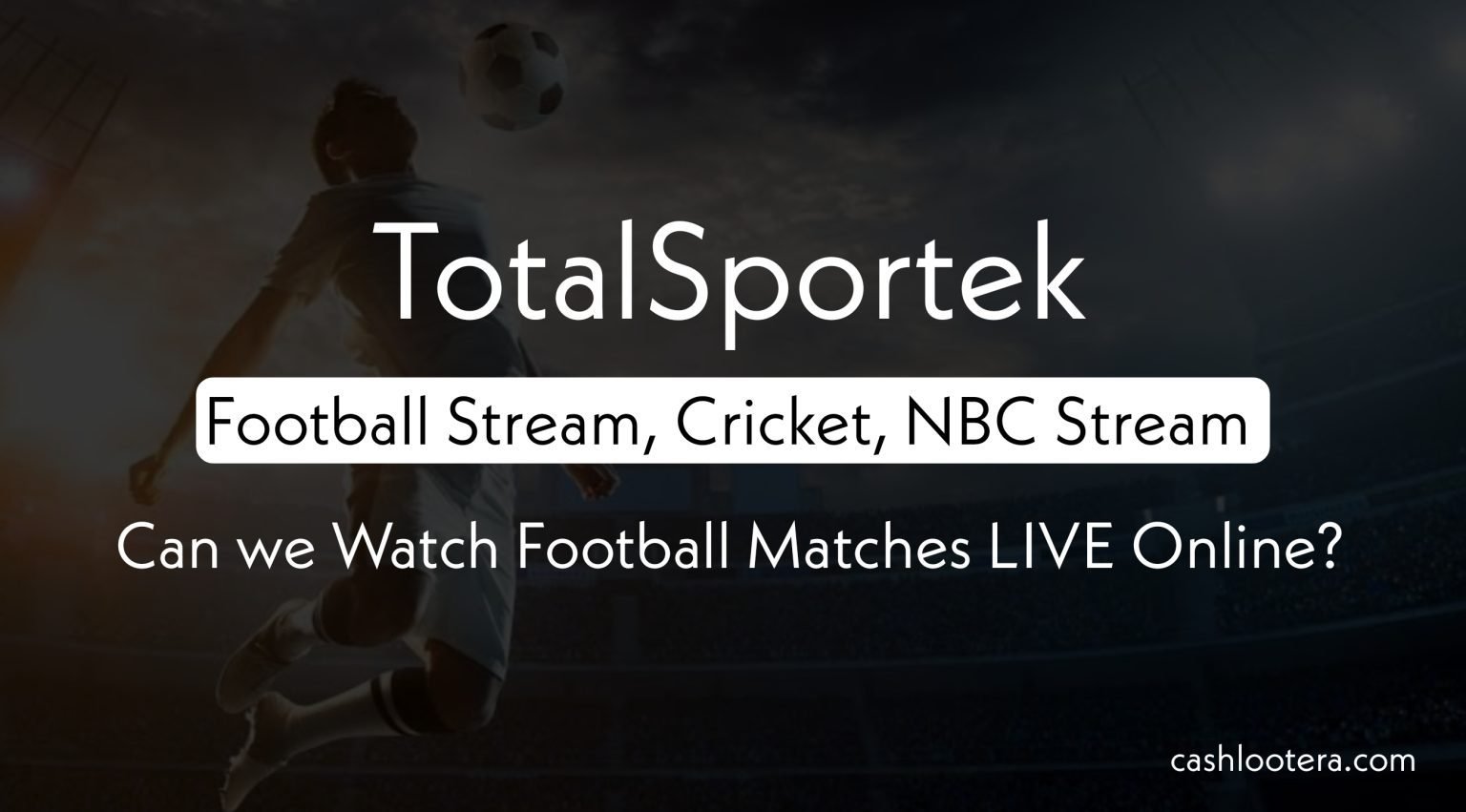 2024 15 BEST TotalSportek Pro Alternatives