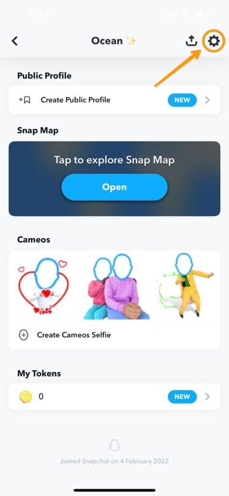 In-App Snapchat Support