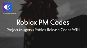 Roblox PM Release Codes