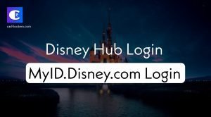 The Disney Hub