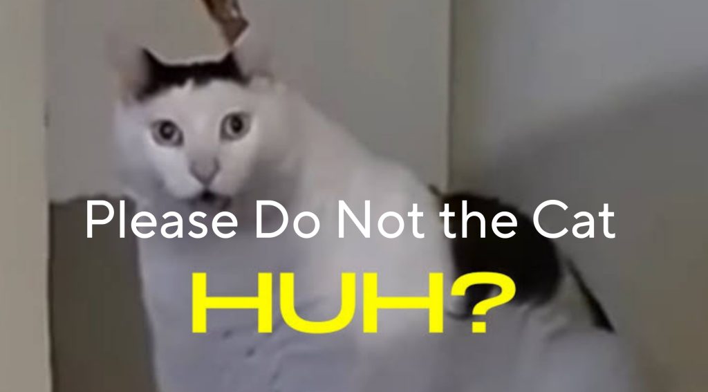 Please Do Not the Cat